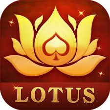 teen patti sapin download